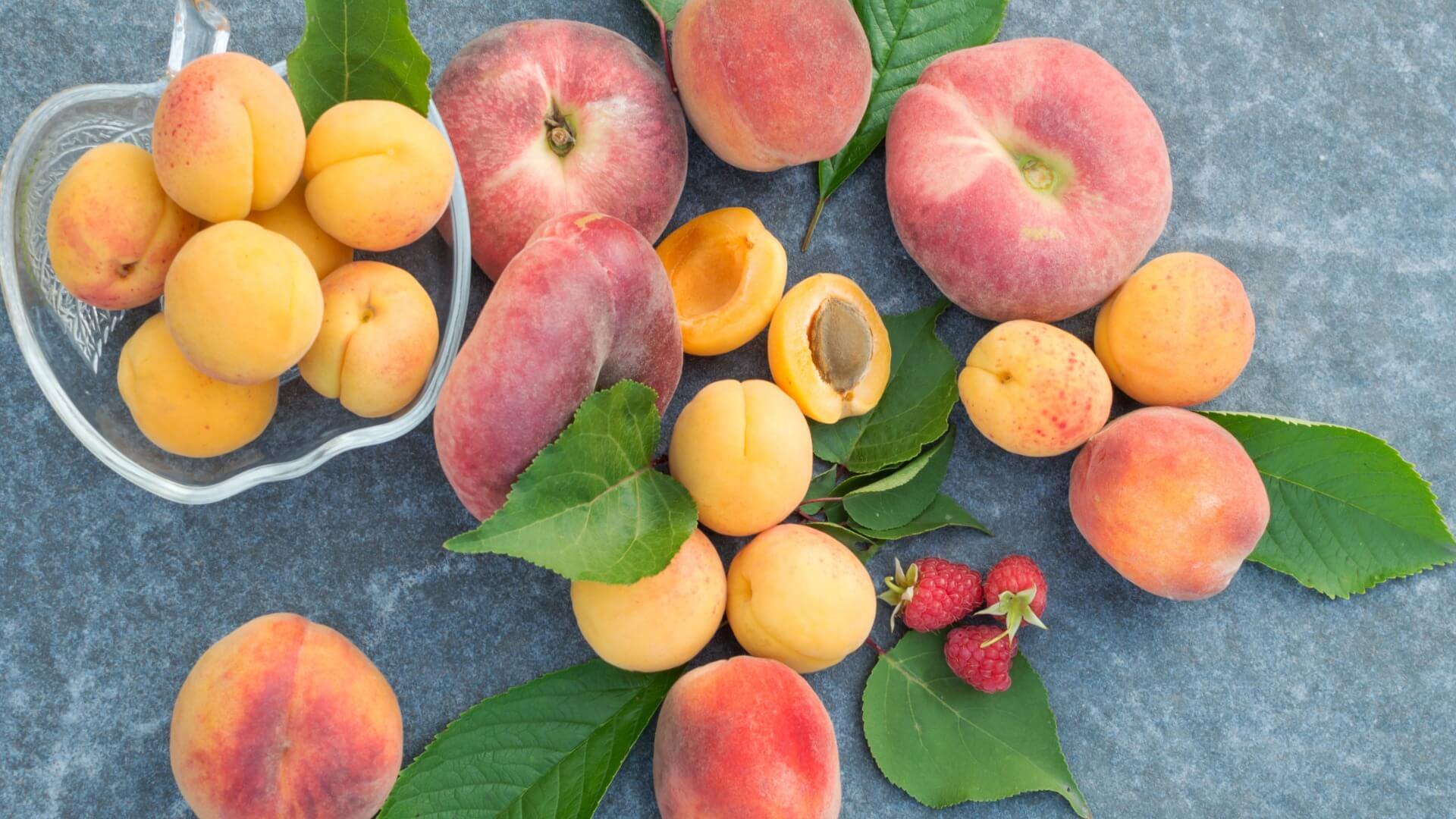 Profitez De L Ete Pour Introduire Les Fruits Crus Programme Malin Profitez De L Ete Pour Introduire Les Fruits Crus Programme Malin