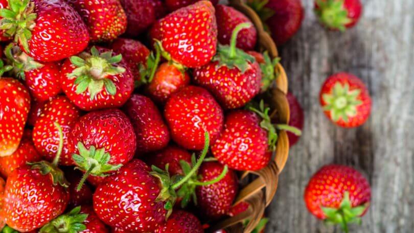 Régalez votre bébé avec des fraises dès ses 4/6 mois !