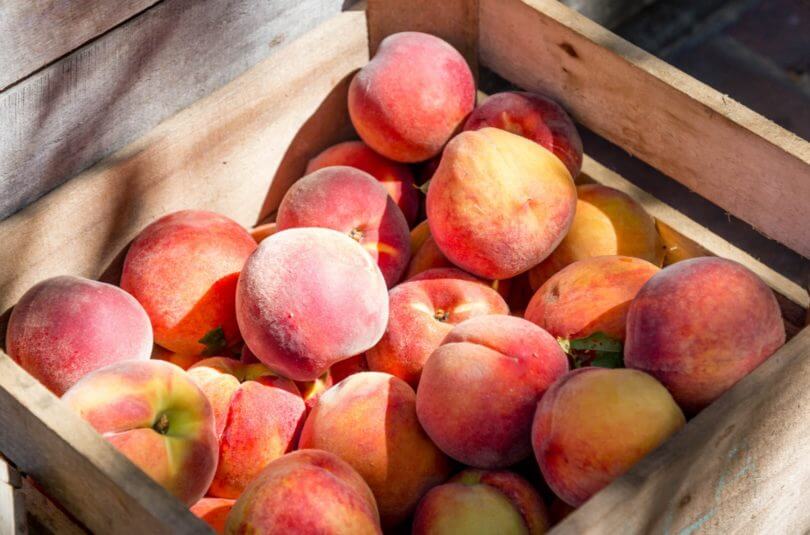 Les pêches, les brugnons ou nectarines, c’est dès les 4/6 mois de votre bébé !