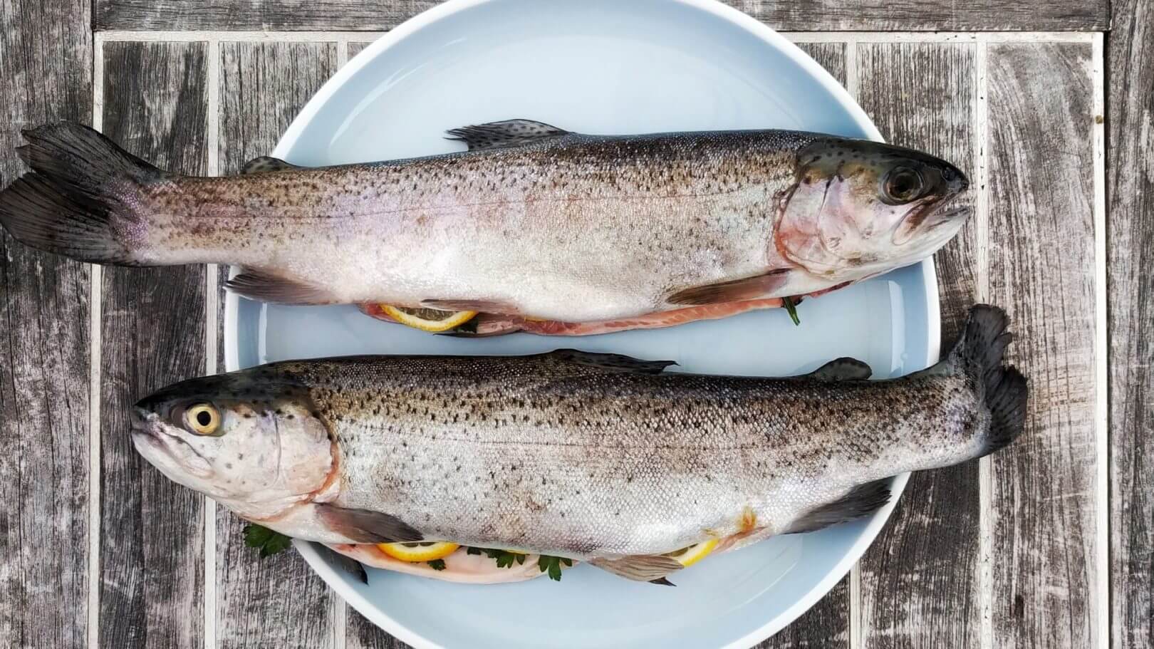 Le Poisson, c’est Bon dès les 6 mois révolu du bébé Programme Malin