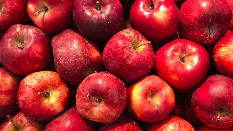 pommes Les pommes, en voilà pour tout l’automne !