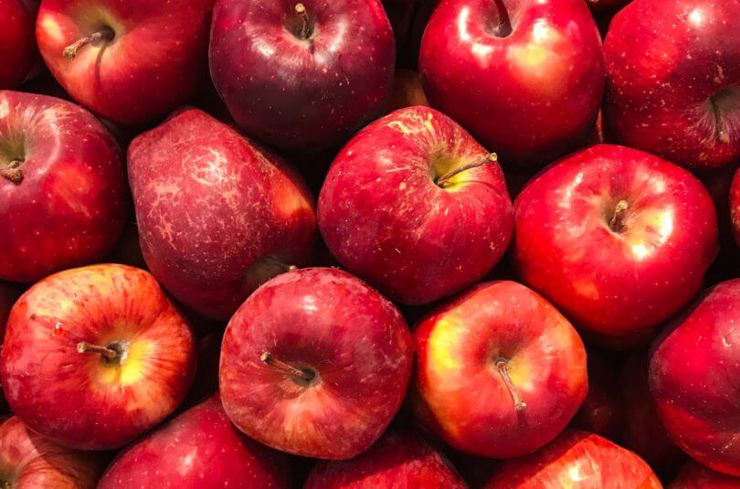 Les pommes, en voilà pour tout l’automne !