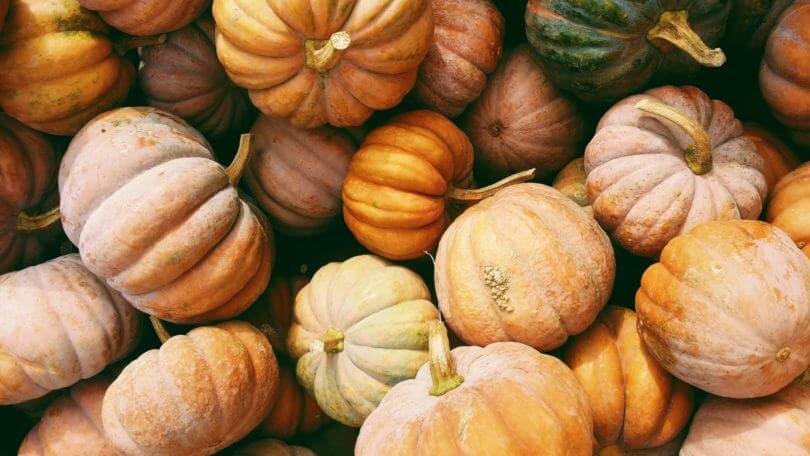 Le potiron, le légume qui ravira les dîners de vos enfants !