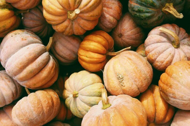 Le potiron, le légume qui ravira les dîners de vos enfants !
