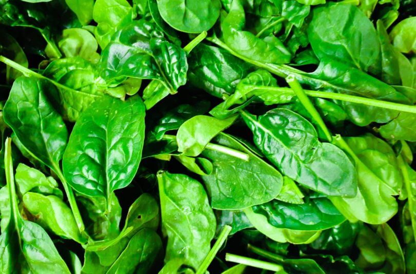 L’épinard, à tester à la sortie de l’hiver !