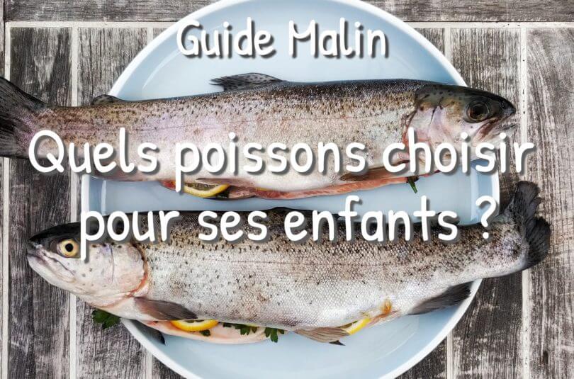 Guide : Quels poissons choisir pour ses enfants, lors de la grossesse et de l’allaitement ? Guide : Quels poissons choisir pour ses enfants, lors de la grossesse et de l’allaitement ?