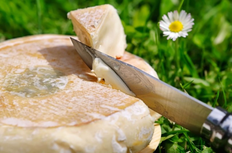 Fromage au lait cru Peut-on manger du fromage au lait cru, enceinte ?