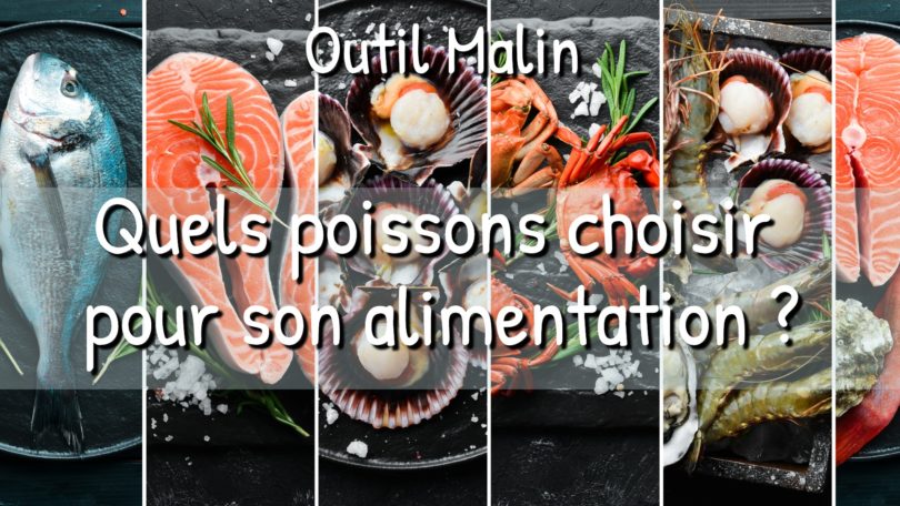 Tout savoir sur le poisson pour bébé et durant la grossesse et l’allaitement