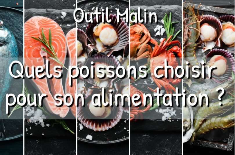 poisson guide Tout savoir sur le poisson pour bébé et durant la grossesse et l’allaitement