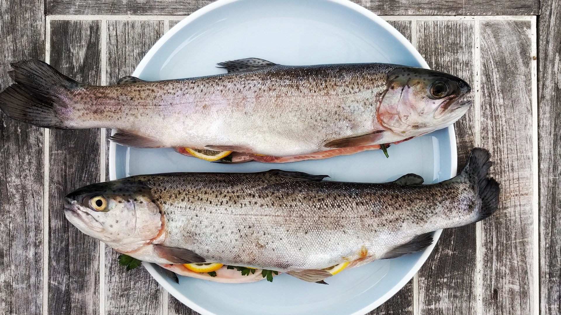 A Partir De Quel Age Donner Du Poisson A Un Bebe