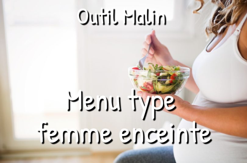 guide 2 (1) Menu type femme enceinte