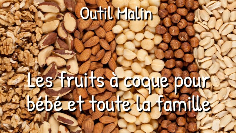 fruit a coque L’importance des fruits à coque pour bébé, dès la grossesse et pour toute la famille