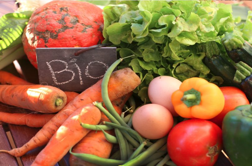 L’alimentation bio : c’est quoi ?