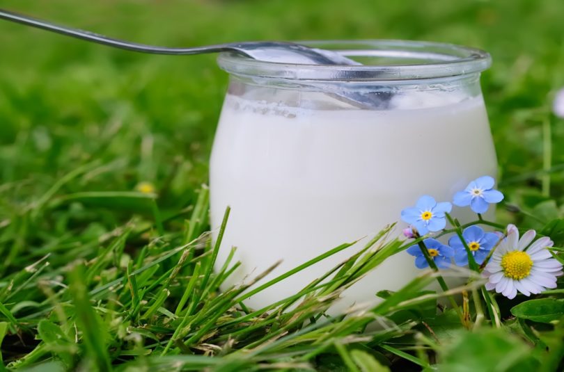 Choisir un yaourt bio pour bébé c’est mieux ?