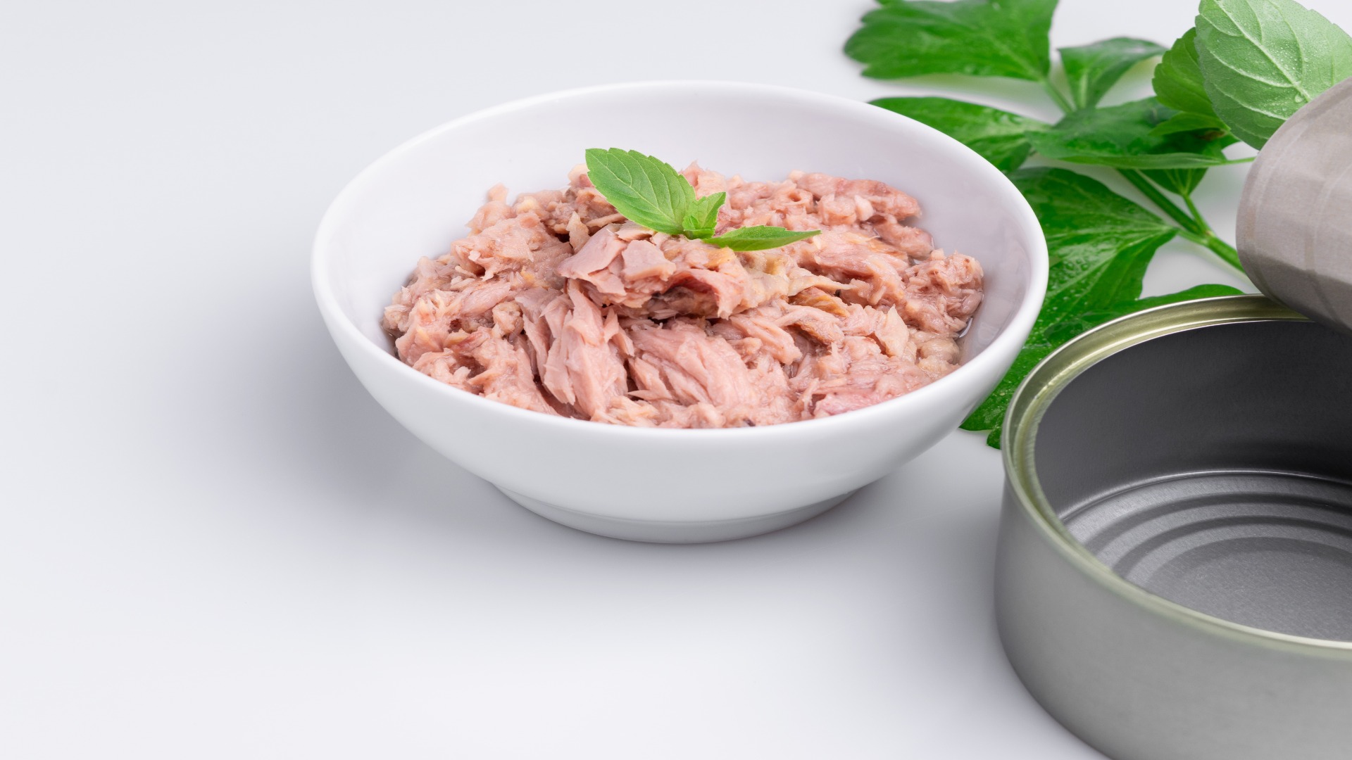 10 idées de recettes avec une boîte de thon Programme Malin