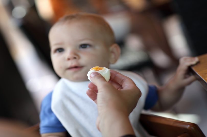Quand et comment l’introduire l’œuf dans l’alimentation de bébé ?
