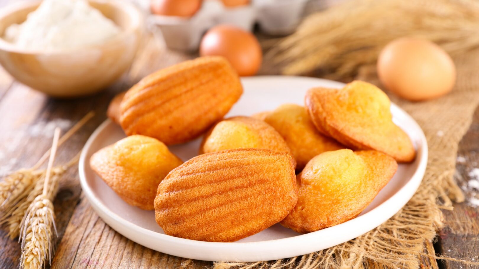Madeleines Madeleines pour les fêtes
