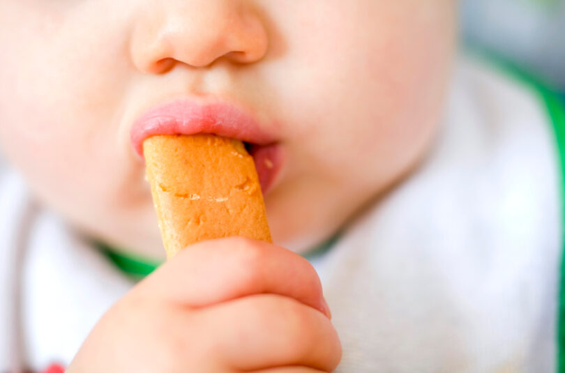 Boudoirs maison sans sucre pour bébé