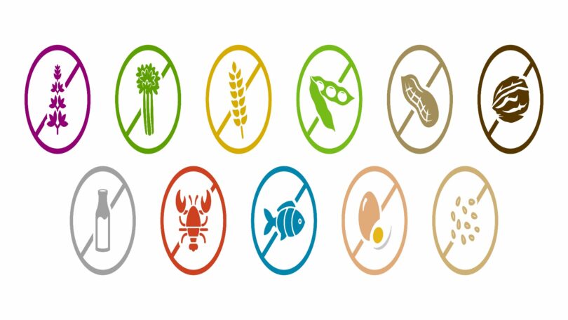 Allergies alimentaires : les plus connues, quand et comment les introduire ?