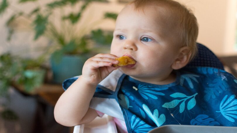 Votre bébé peut-il manger des morceaux sans dents ?